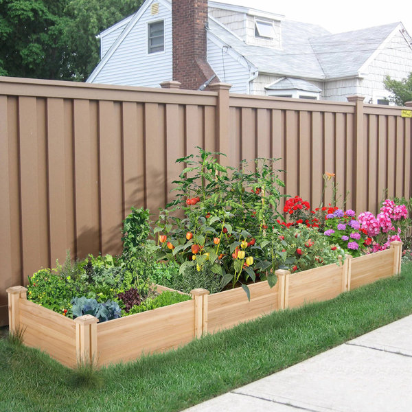 Arlmont & Co. Naeva 8 x 2 Ft Solid Wood Raised Garden Bed Divisible DIY